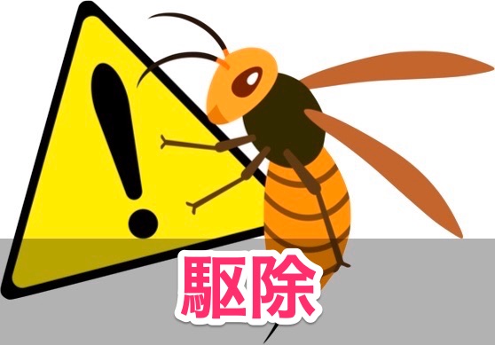 【スズメバチ】蜂の巣駆除の業者を選ぶのに迷ったらくらしのマーケットを使うのが無難かも？